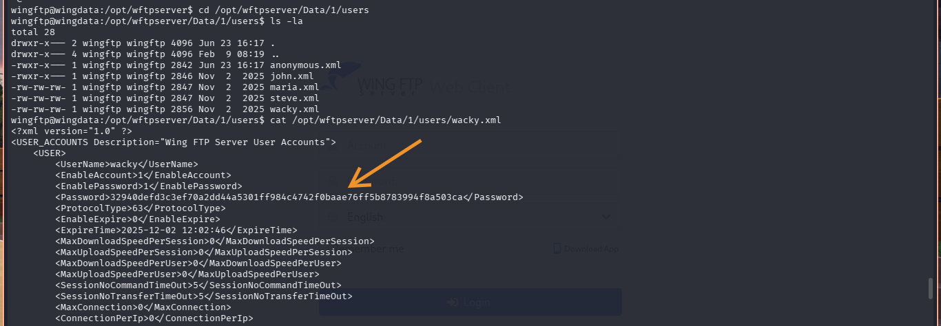 XML